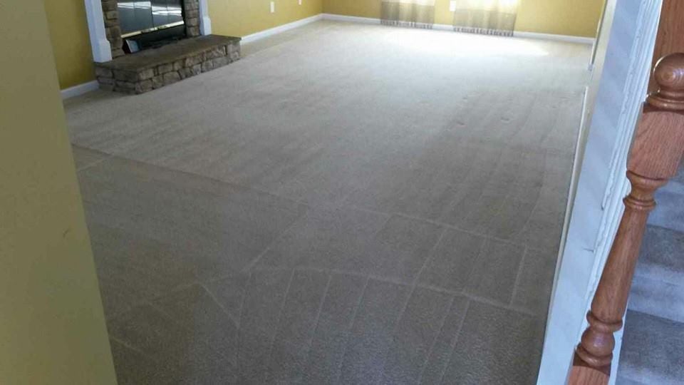 carpet cleaning service