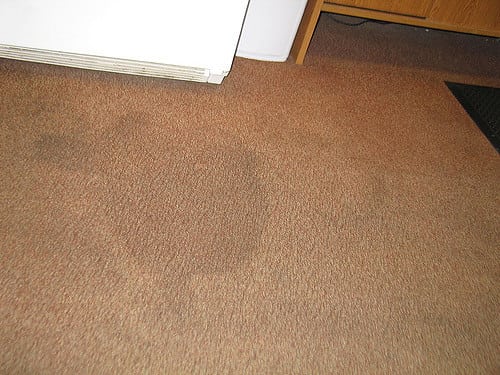 carpet stain